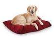 Premium Value 27 x 36 Dog Bed