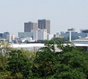 Baton Rouge Coupons