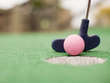 Golf Safari Mini Golf Coupons Bonita Springs, FL Deals