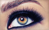 FYUBI Makeup & Brow Studio Coupons Washington, District of Columbia Deals
