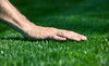 Weed Man Coupons  Deals