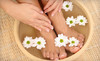 Divine Nails & Spa Coupons San Diego, California Deals