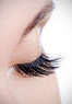 Lash Studio Coupons Houston, TX Deals