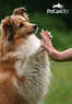 PetCareRx.com  Coupons  Deals