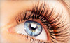 Paradise Nails Coupons Bedminster, New Jersey Deals