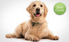 Spay/Houston Coupons  Deals
