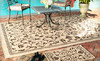 Safavieh Indoor-Outdoor Rugs Coupons  Deals