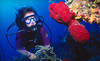 Scuba Shack Coupons Rocky Hill, Connecticut Deals