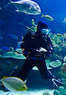 Brownie's Yachtdiver Stores Coupons Fort Lauderdale, FL Deals