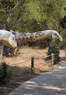 Dinosaur World Coupons Glen Rose, TX Deals