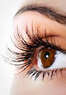 Abana Lash & Brow Lounge Coupons University Place, WA Deals