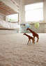 Capital Cleaning Coupons  Deals