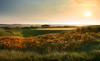 Ireland Golf Vacation with Airfare and Car Rental Coupons  Deals