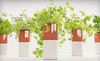 Bambeco Coupons  Deals