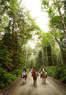 Seaton Hackney Stables Coupons Morristown, NJ Deals