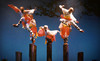 Shaolin Warriors Coupons Morristown, New Jersey Deals