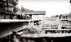 LesleyAnn Photography Coupons Fort Langley, British Columbia Deals
