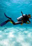 Blue Water Aquatics Coupons Sunnyvale, CA Deals