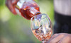 Sweet Baby Vineyard Coupons East Kingston, New Hampshire Deals