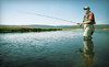 Rocky Mountain Flyfishing Guides Coupons Denver, Colorado Deals