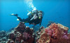 GirlDiver Coupons Tukwila, Washington Deals