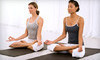 Moho FIT Coupons Palm Harbor, Florida Deals