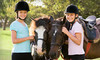 Sacred Cross Horse Services Coupons Livermore, California Deals