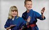 Pro Dojos Coupons Toronto, Ontario Deals