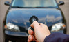 Wild Car Audio Coupons St.Catharines, Ontario Deals