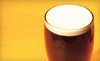 Pioneer Brewing Company Coupons Fiskdale, Massachusetts Deals