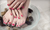 Merle Norman Cosmetics & Spa Coupons Loves Park, Illinois Deals