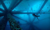 Private Scuba Coupons Aliso Viejo, California Deals