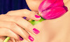 Sara's Glam Squad Salon Coupons Providence, Rhode Island Deals