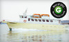 Island Current Coupons Bronx, New York Deals