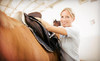 MD Barrel Horses Coupons Mesquite, Texas Deals