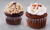The Lofty Cupcake Coupons Tallmadge, Ohio Deals