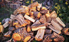 Four Seasons Firewood Coupons North Newton, Kansas Deals