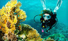 Underwater Phantaseas Coupons Lakewood, Colorado Deals