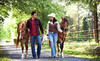 Douglas Lakeview Stables Coupons Sevierville, Tennessee Deals