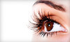 Allure Lash Studio Coupons Richardson, Texas Deals