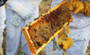 Round Rock Honey Coupons Argyle, Texas Deals
