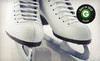Kent Valley Ice Centre Coupons Kent, Washington Deals