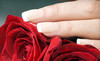 Betsy at Mina's Salon Coupons Plano, Texas Deals