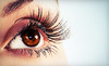 Lash Therapy & More by Lyn Fullmer Coupons Claremont, California Deals