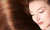 Shampoo Salon and Spa Coupons Prairie Village, Kansas Deals