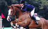 Raynham Stables Coupons Nobelton, Ontario Deals