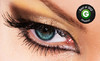 Amazing Lash Studio Coupons Houston, Texas Deals
