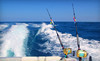 Rennegade Fishing Charters Coupons Wilmington, North Carolina Deals