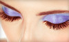 BashFULL Lashes Coupons Jeffersonville, Indiana Deals
