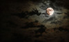 Ghost Tours Miami Coupons Coconut Grove, Florida Deals